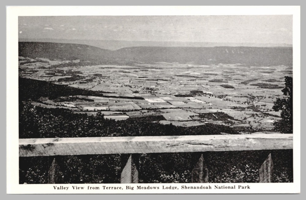 Valley View From Terrace Big Meadows Lodge Shenandoah Park VA c1930 UNP Postcard