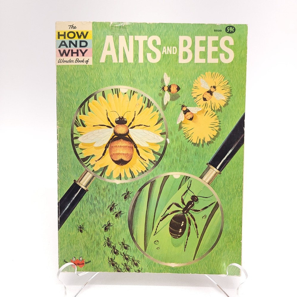 Vintage 1962 The How and Why Wonder Book of Ants and Bees Ronald N Rood 5030
