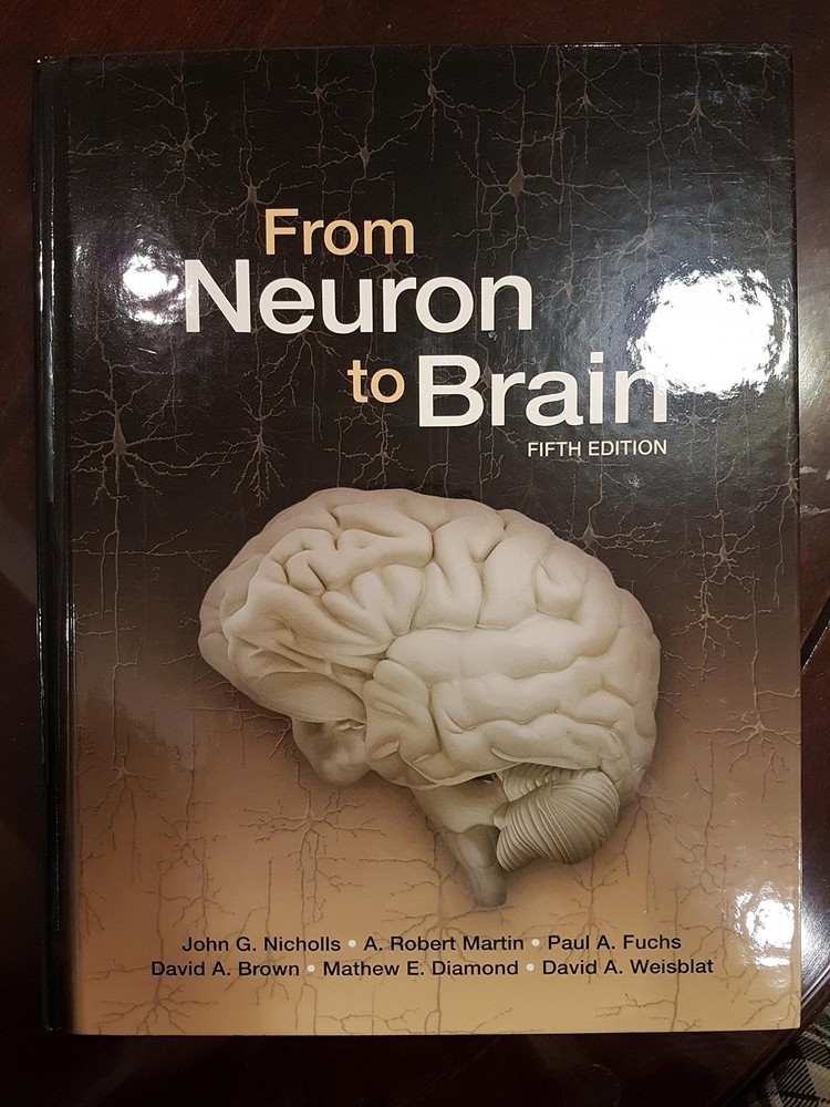 From Neuron to Brain - hardcover Nicholls, John G.|Martin, A. Robert|Brown, ...