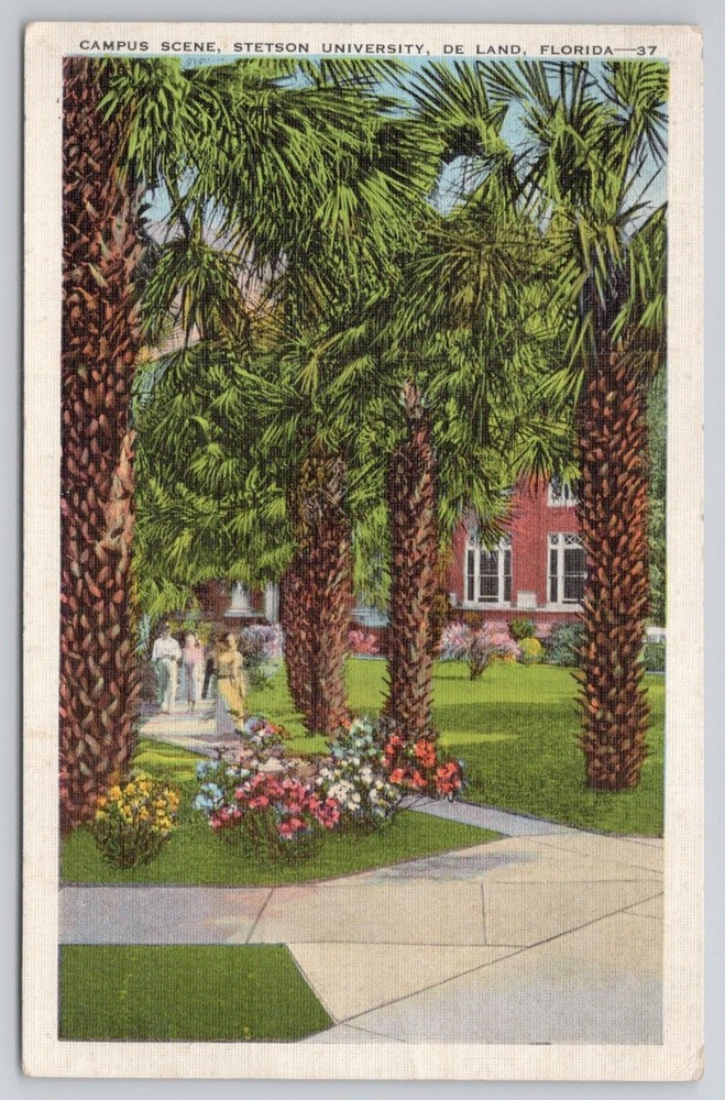 1942 Stetson University DeLand Florida Campus Scene Linen Postcard Palm Trees