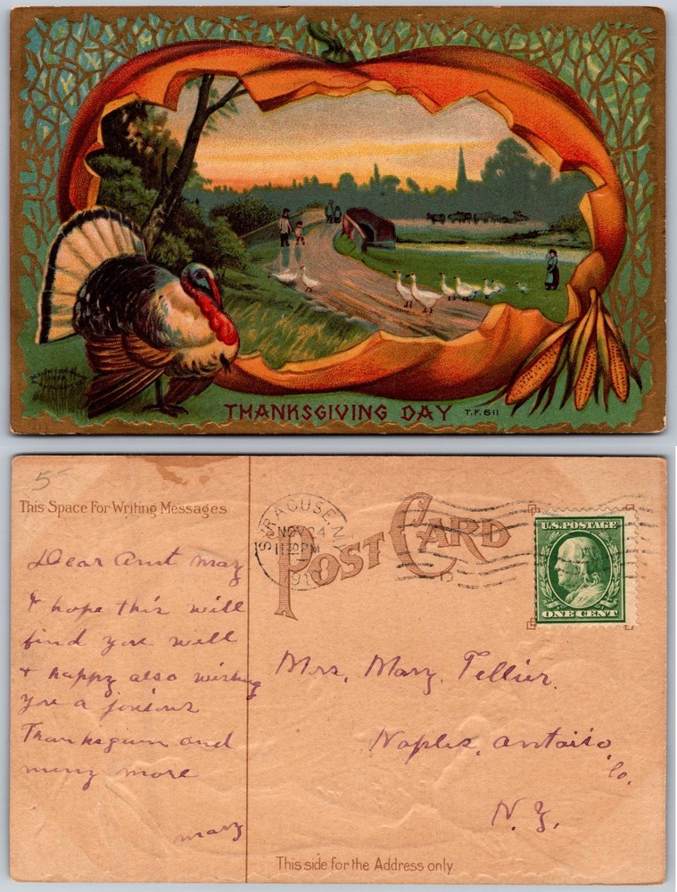 Thanksgiving Day Turkey Farm Postcard