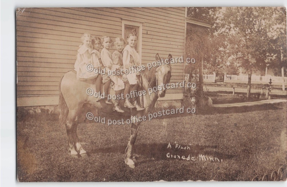 Granada, Minnesota-A Flush-5 Little Girls on Horse c1908 MN RPPC Photo Postcard