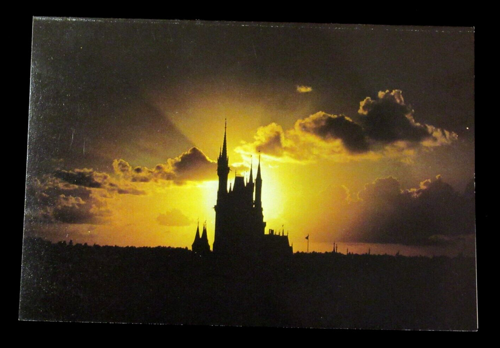 Vintage Disney Postcard Disney World