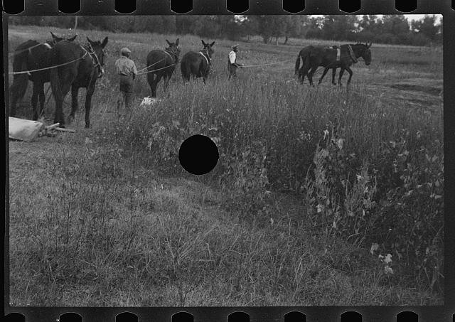 Photo:1930s Farm Horses Plowing Field Men Working Rural Scene