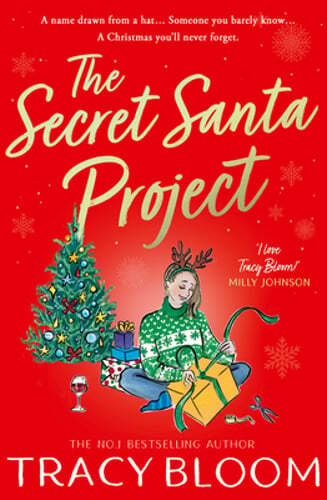 The Secret Santa Project by Tracy Bloom: New