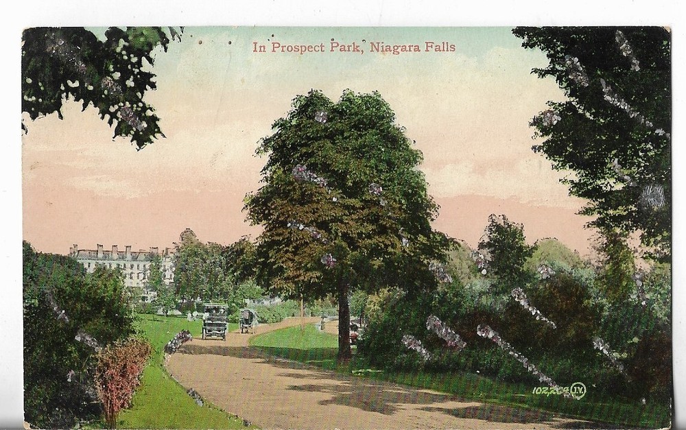 Vtg Postcard - In Prospect Park - Niagara Falls, New York NY