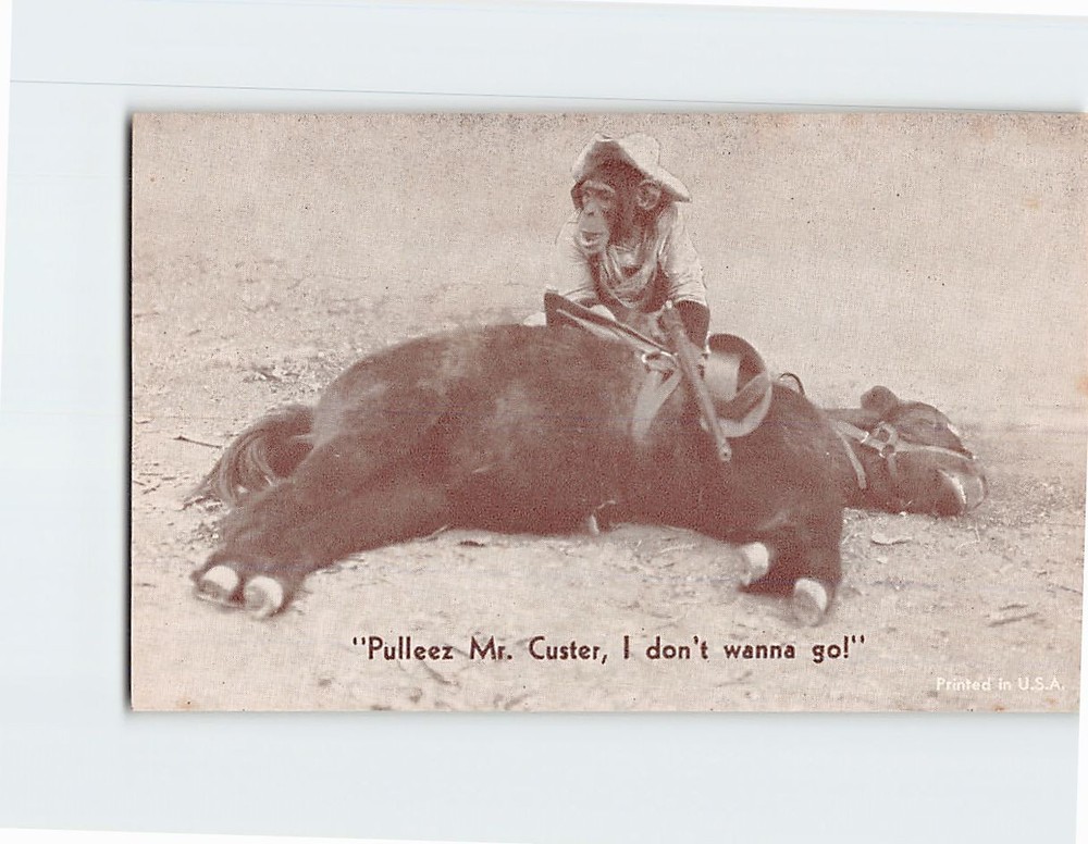 Postcard Chimpanzee Monkey Anthropomorphic Animal Comic