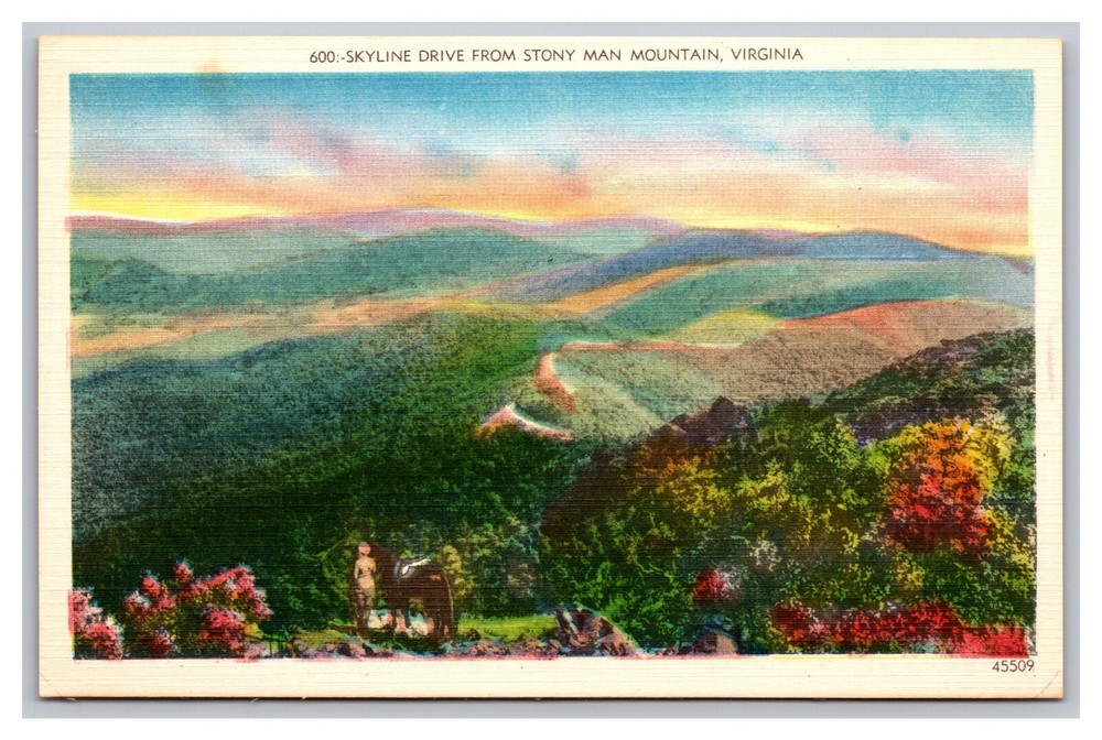 Skyline Drive from Stony Man Mountain VA Virginia Linen Postcard