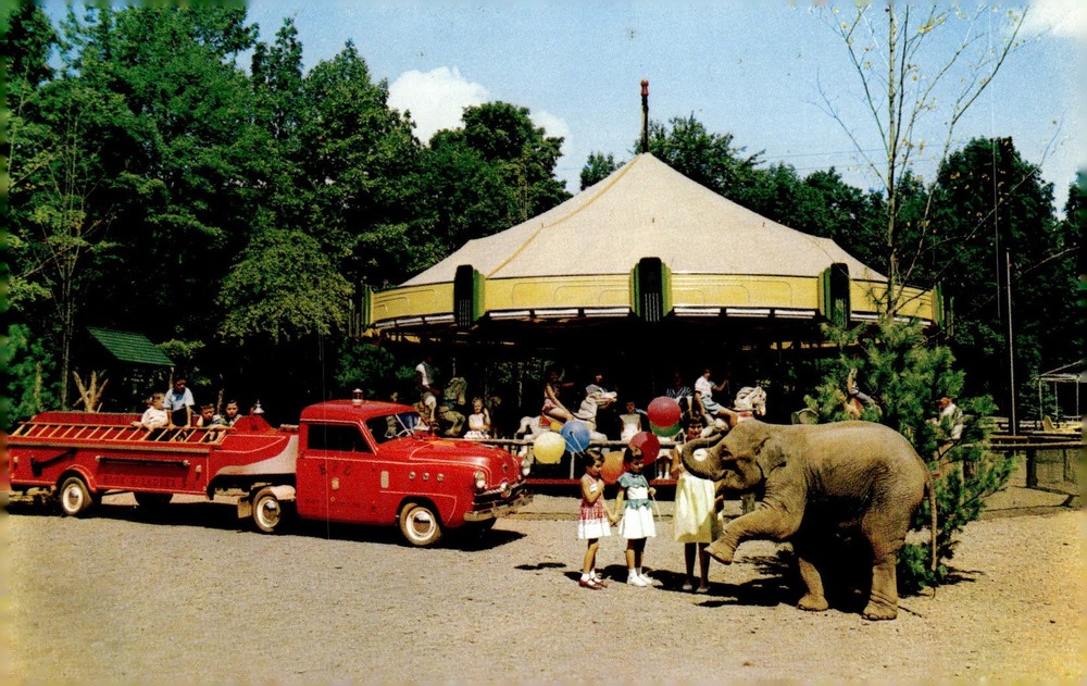 1950s Catskill Game Farm Catskill NY MCM Carousel Elephant Fire Truck Postcard