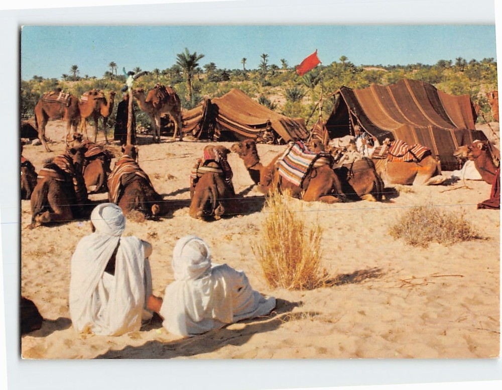 Postcard Nomads Nefta Tunisia