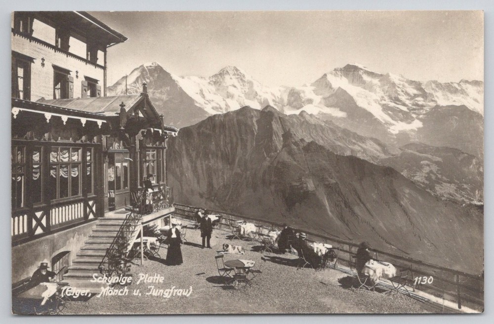 Schynige Platte Eiger Mönch Jungfrau Swiss Alps Postcard c1910s
