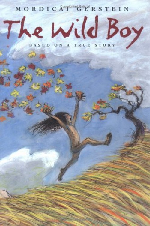 The Wild Boy Paperback Mordicai GersteinFree US Delivery | ISBN:0374483965