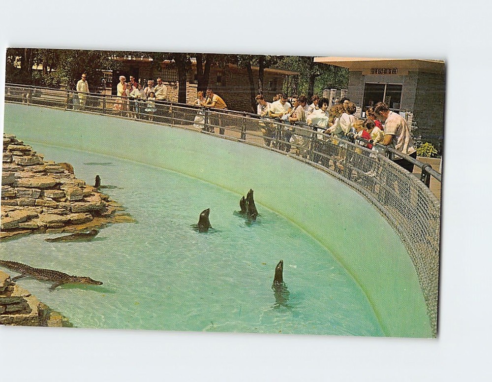 Postcard Moat Monkey Island Como Park Zoo Saint St. Paul Minnesota USA America