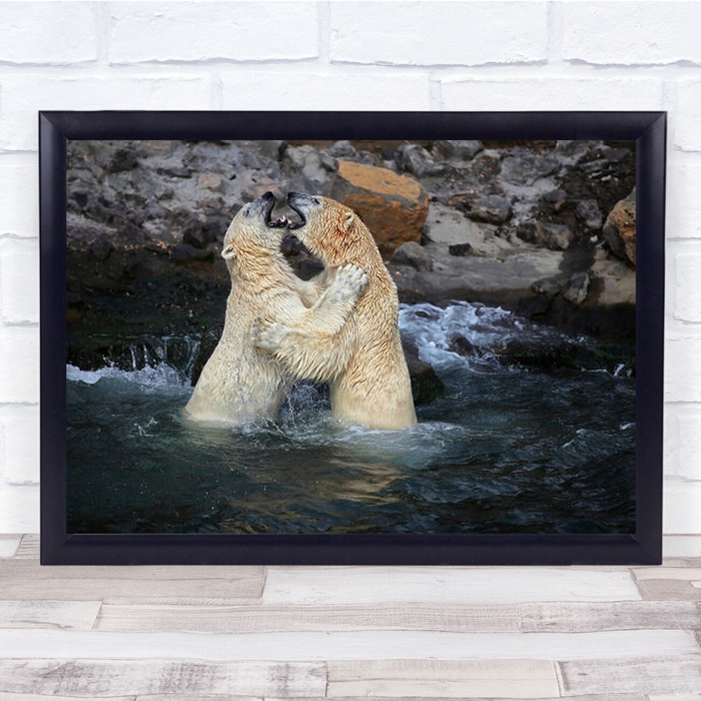 Polar Bears Hugging Romantic Wall Art Print