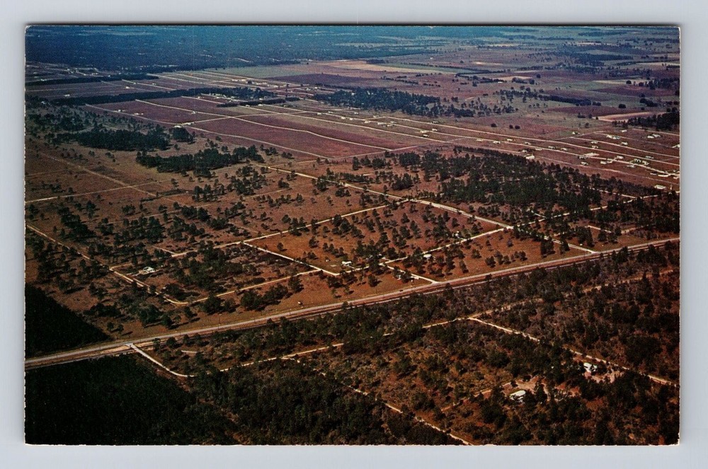 Marion County FL- Florida, Rainbow Acres, Antique, Vintage Souvenir Postcard