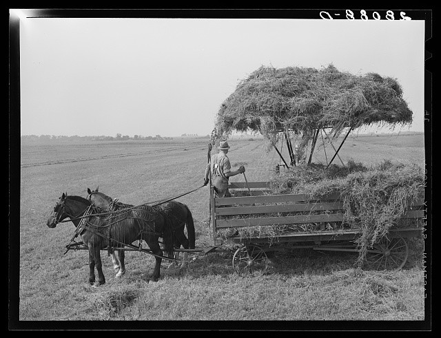 Photo:Kimberley Iowa Jasper County 1939 Hay Loading Wagon Jayhawk Farm