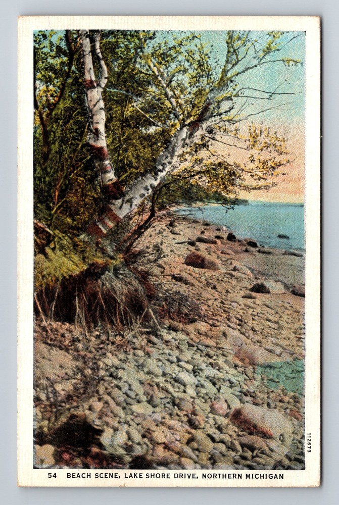 Beach Scene Lake Shore Drive In Northern Michigan Vintage Postcard