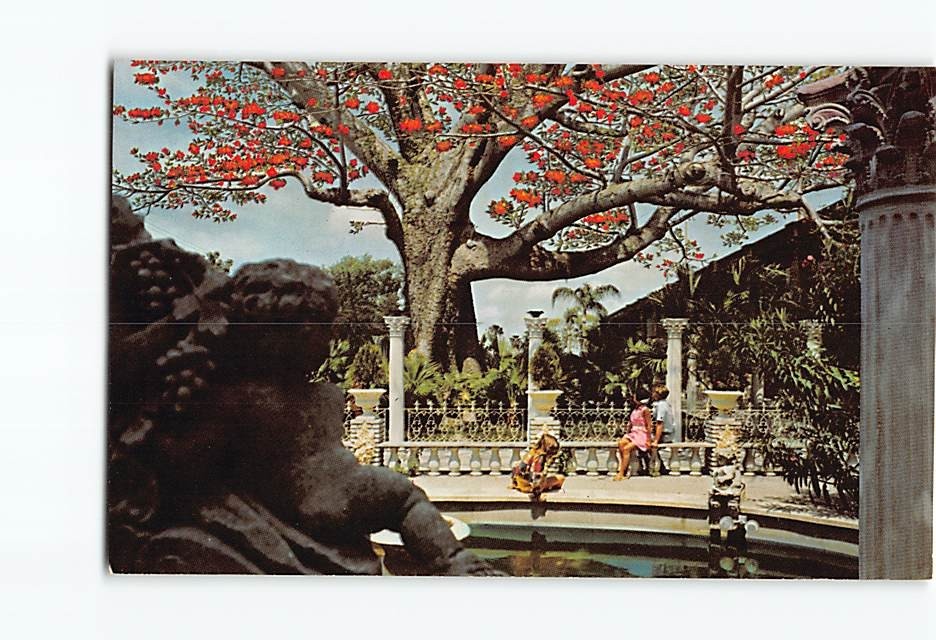 Postcard Kapok Tree Inn North Haines Road Clearwater Florida USA North America