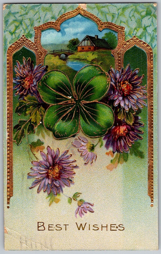 Antique Postcard Four-leaf Clover & Asters Chicago, IL 1910s