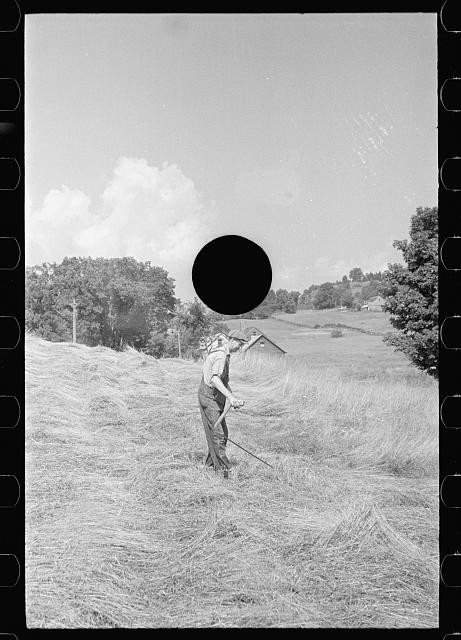 Cutting hay,Windsor County,Vermont,VT,Farm Security Administration,Rothstein,7