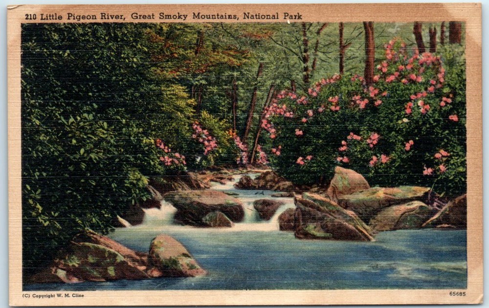 Little Pigeon River, Great Smoky Mountains, National Park - Tennessee