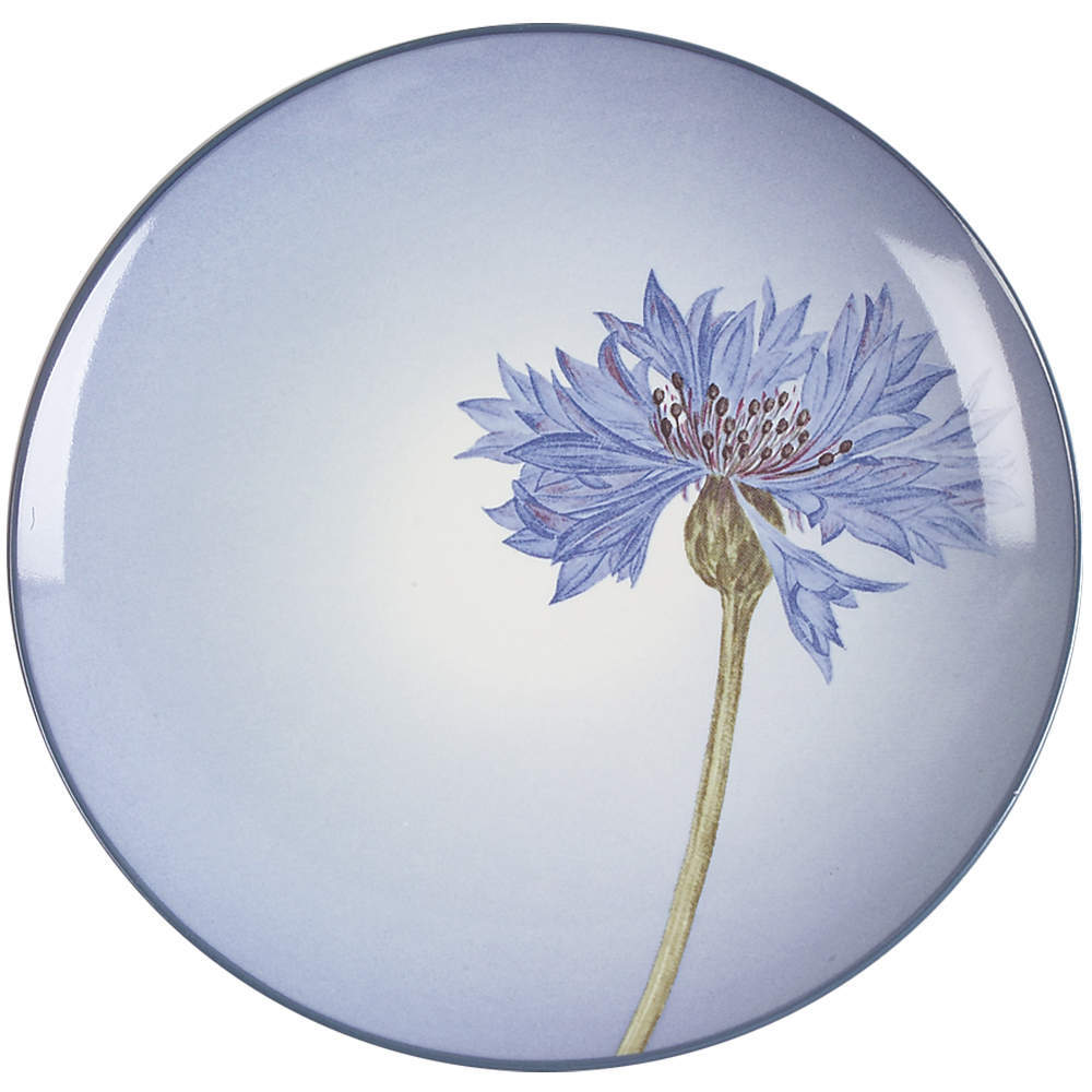 Noritake Colorwave Blue Accent Salad Plate 4670223