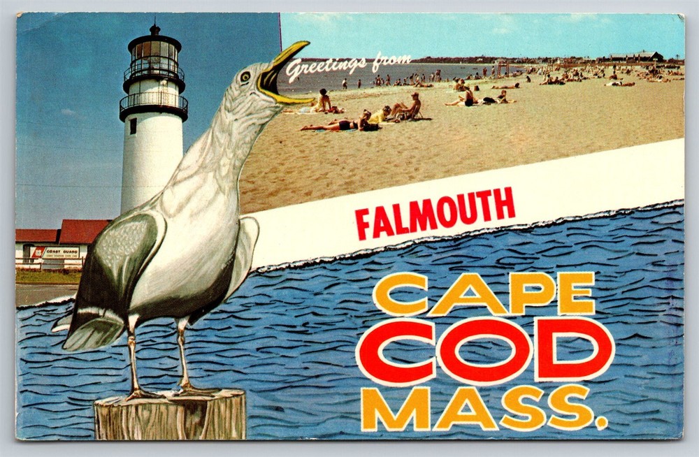 Massachusettes Falmouth Greetings Seagull Lighthouse Silly Postcard, C5