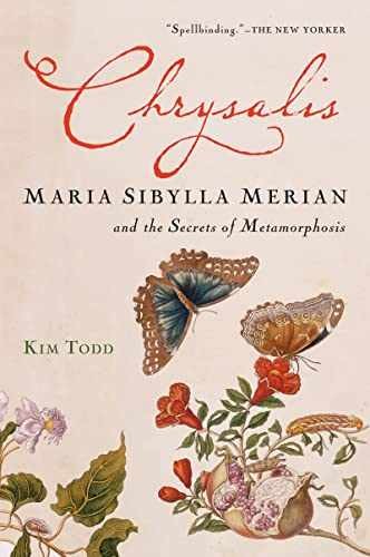 Chrysalis: Maria Sibylla Merian and the - Paperback, by Todd Kim - Acceptable