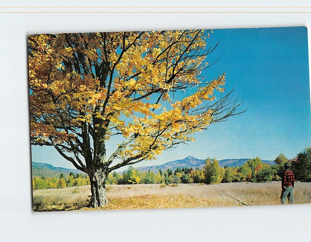 Postcard Mt. Chocorua White Mountains New Hampshire USA