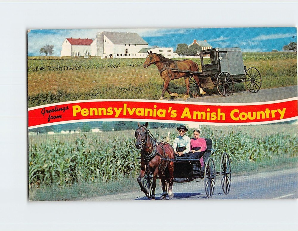 Postcard Pennsylvania Amish Country Horse Buggy Barn Farm Cornfield Greetings
