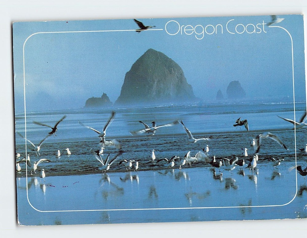 Postcard Haystack Rock & Seagulls Oregon Coast Oregon USA