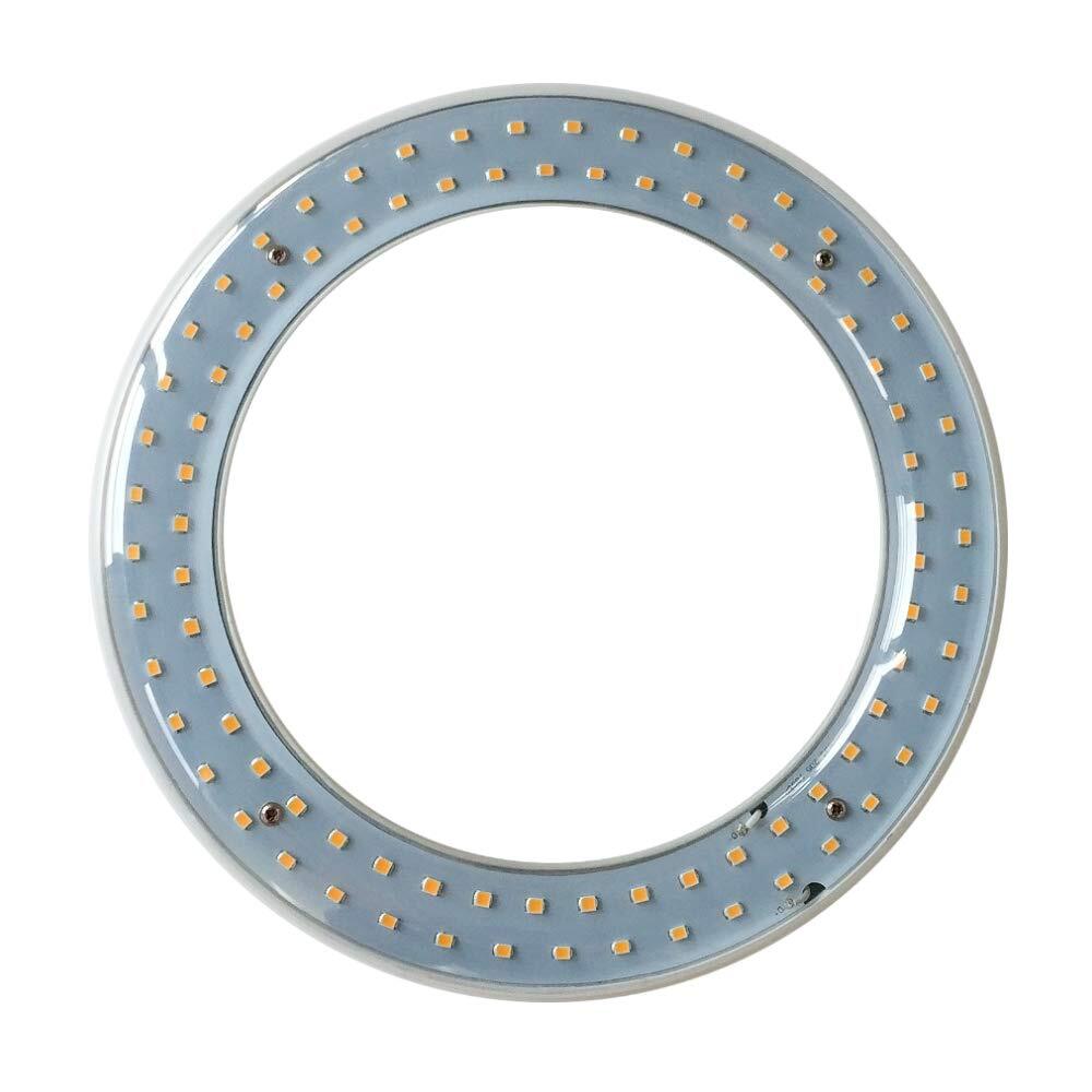 T9 LED Circline Light Bulb, 8 Inch 1600LM LED Circular Light, 13W Clear Cover...