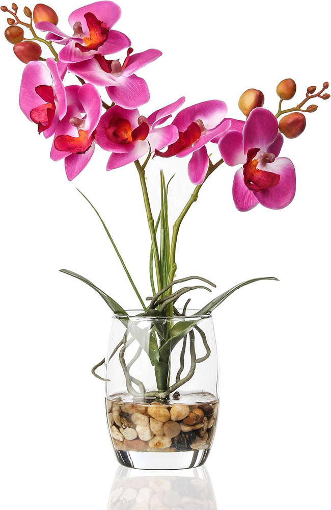 1 Pcs Elegant Glass Vase with Realistic Phalaenopsis Orchid Bonsai