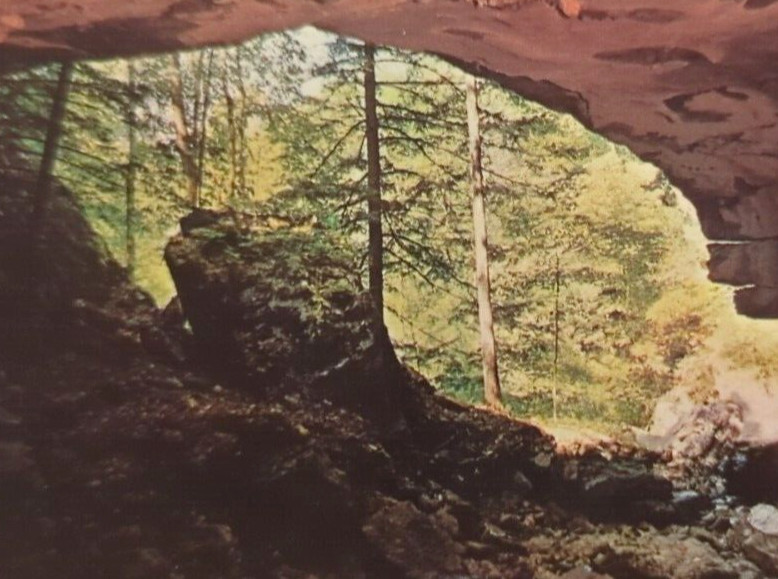 Carter Caves State Park Olive Hill Kentucky KY Cascade Cave Postcard Chrome VTG