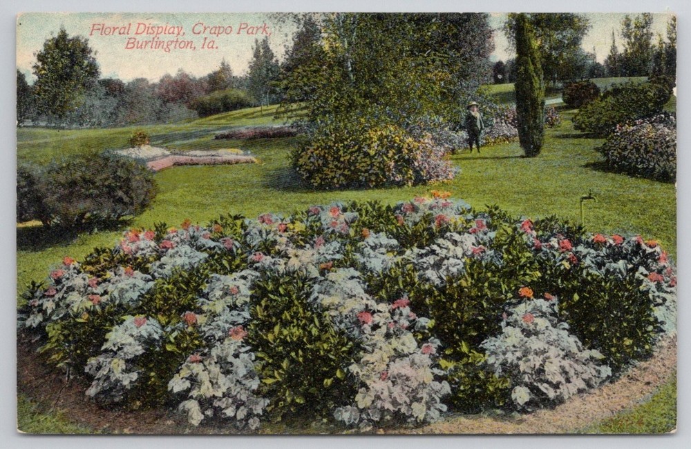 Crapo Park Burlington Iowa Floral Display Early 1900s Postcard
