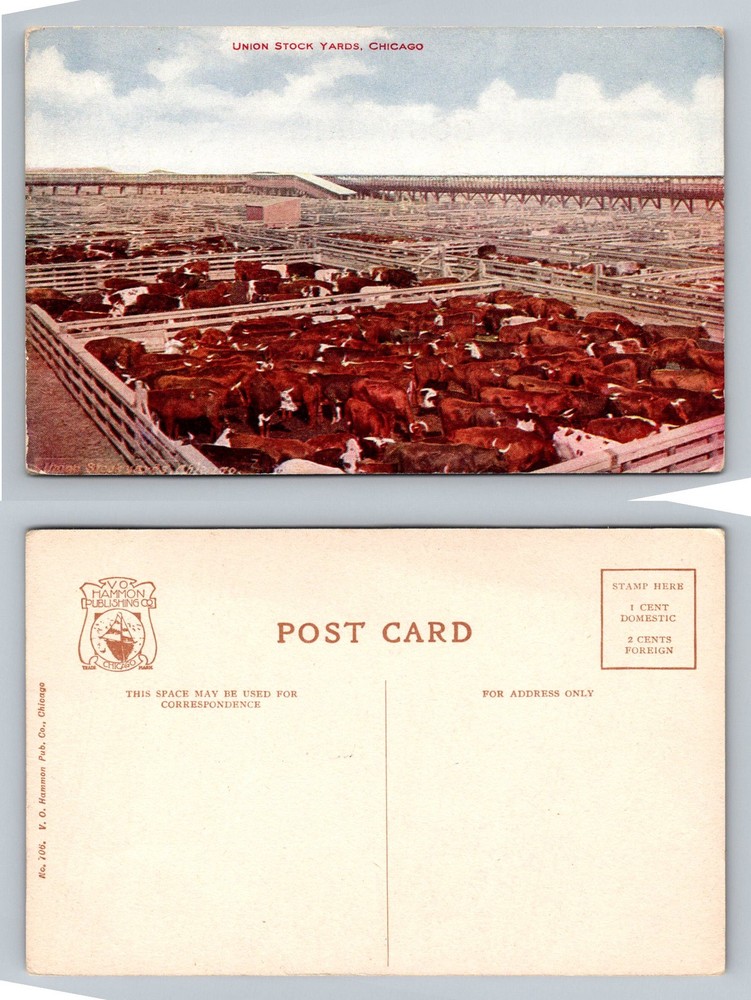 Chicago, IL-Illinois, Union Stock Yards Cattle Pens Panorama Vintage Postcard
