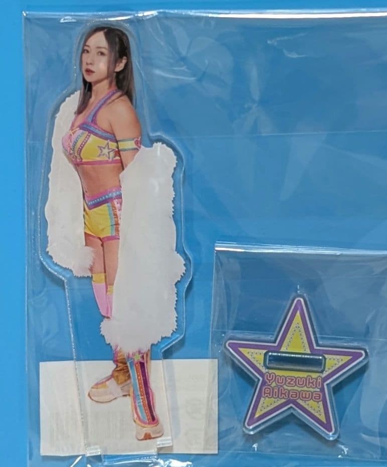 Acrylic Stardom Women Wrestling