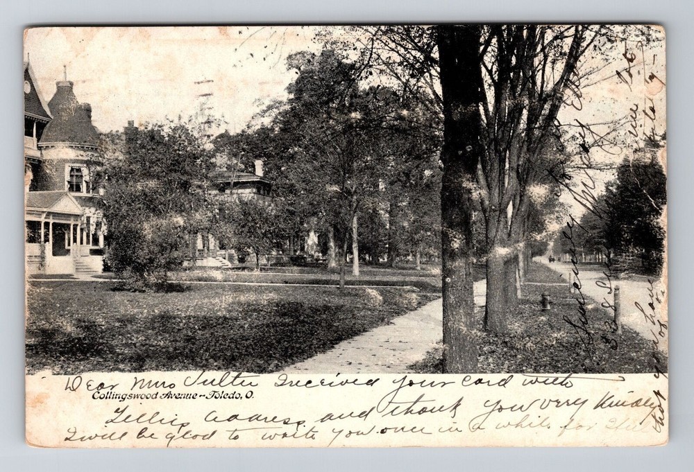 Toledo OH-Ohio, Collingswood Avenue, Houses Behind Trees, Vintage Postcard