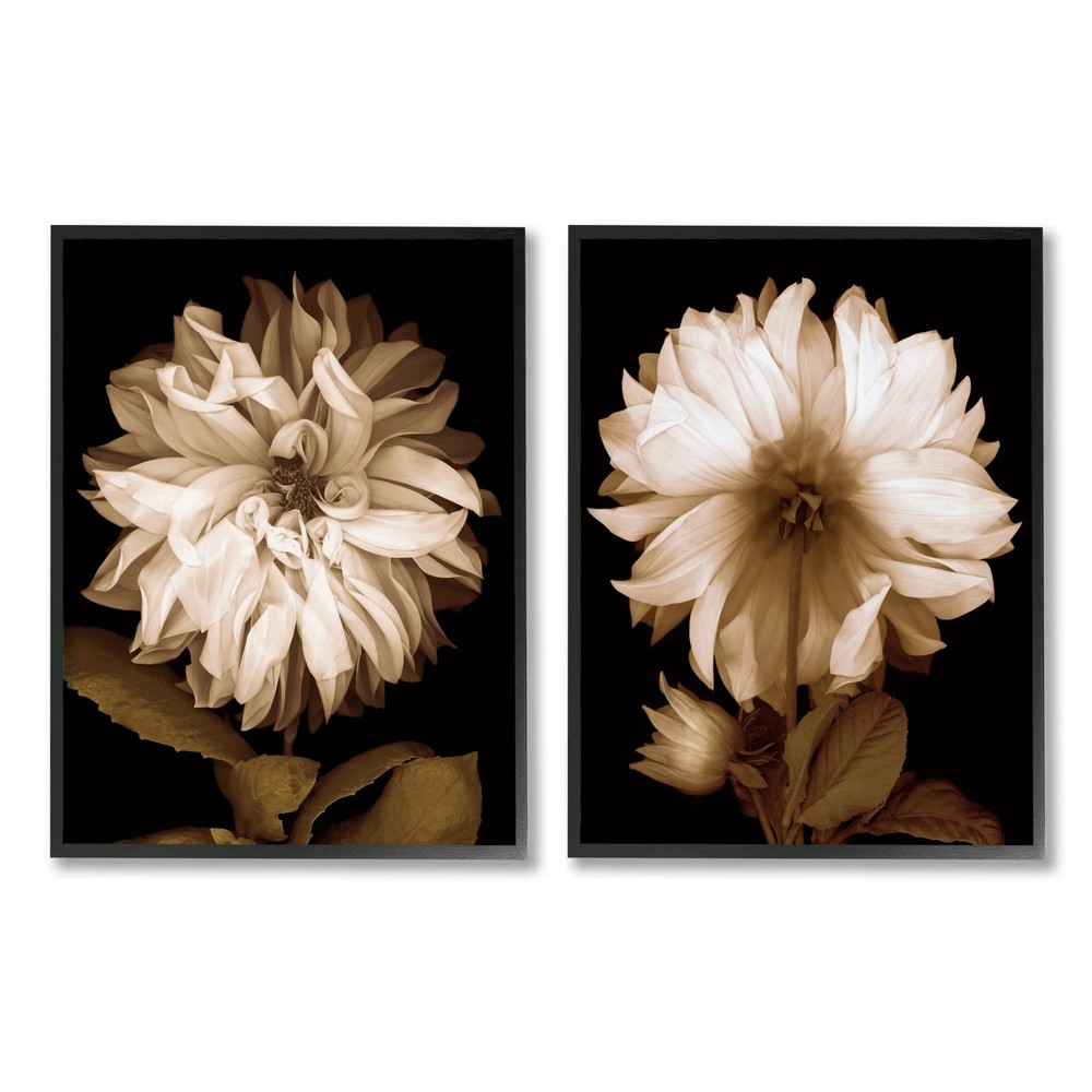 Sepia Chrysanthemum Flower Blooms 2pc Framed Giclee Art Set, Design by Caroli...