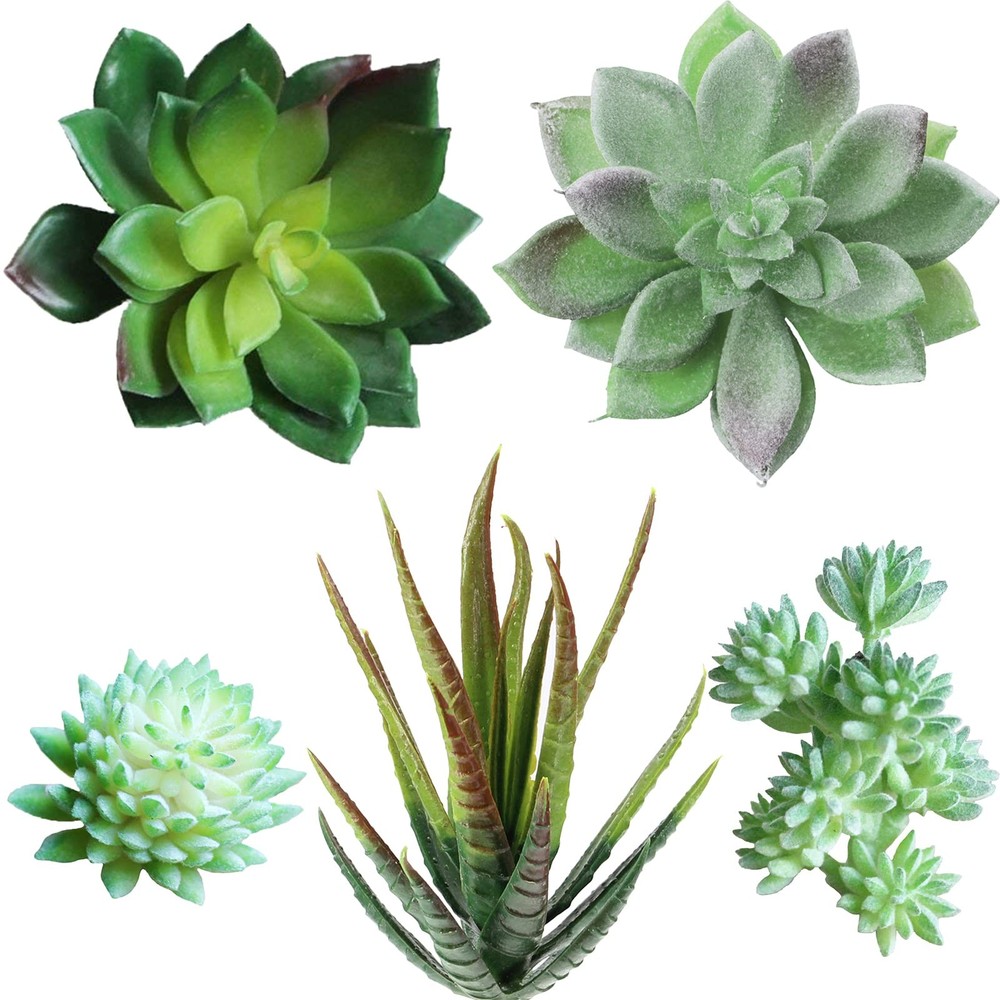 5 Pcs Assorted Artificial Succulents Plants Unpotted Small Green Cactus Echev...