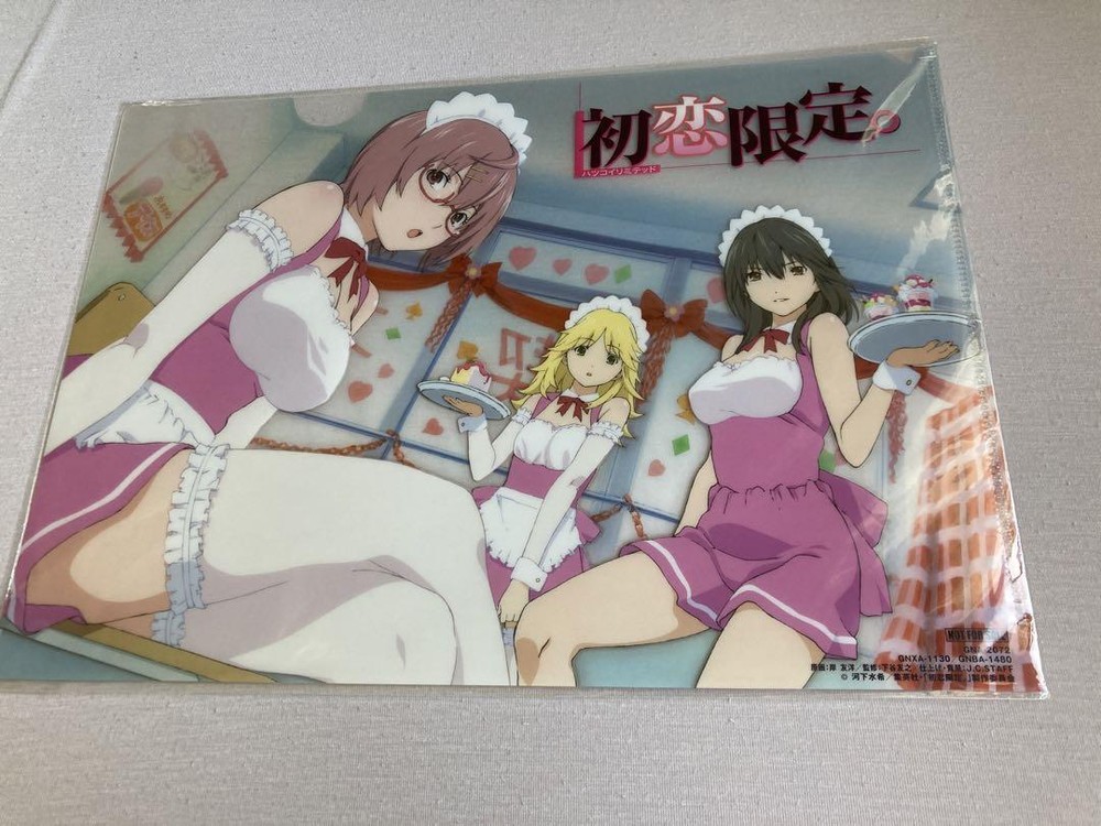 Hatsukoi Limited Blu-Ray Purchase Bonus Clear File Mizuki Kawashita Ichigo 100