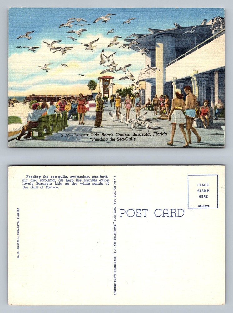 Sarasota, FL-Florida, Lido Beach Casino Gull Feeding Scene Vintage Postcard
