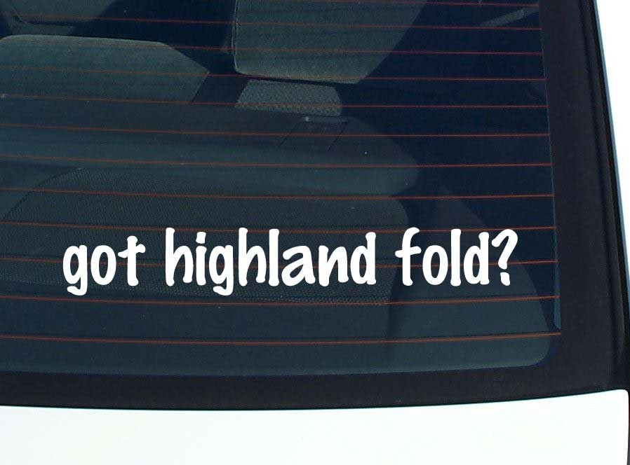 Highland Fold Cat Lover Car Decal Bumper Sticker Vinyl Window Joke