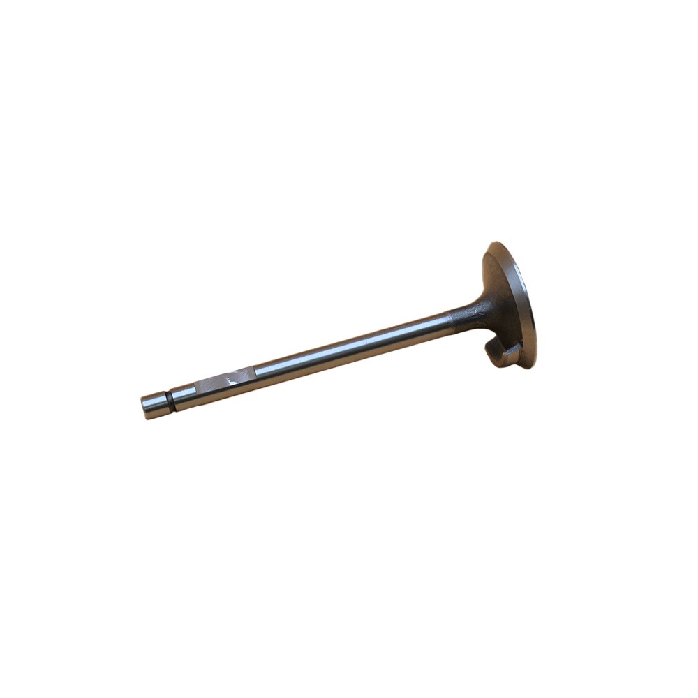 S.62056 Intake Valve - Fits Case IH