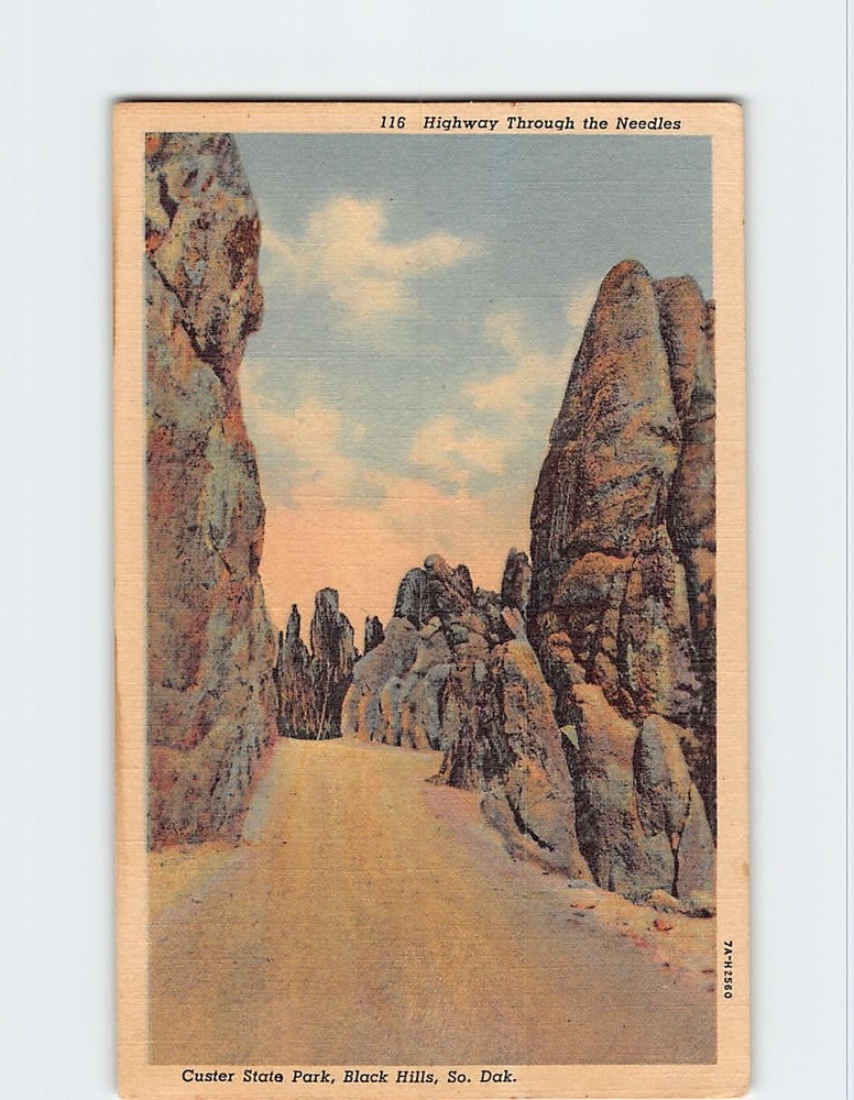 Postcard Highway Through The Needles Custer State Park Black Hills South Dakota