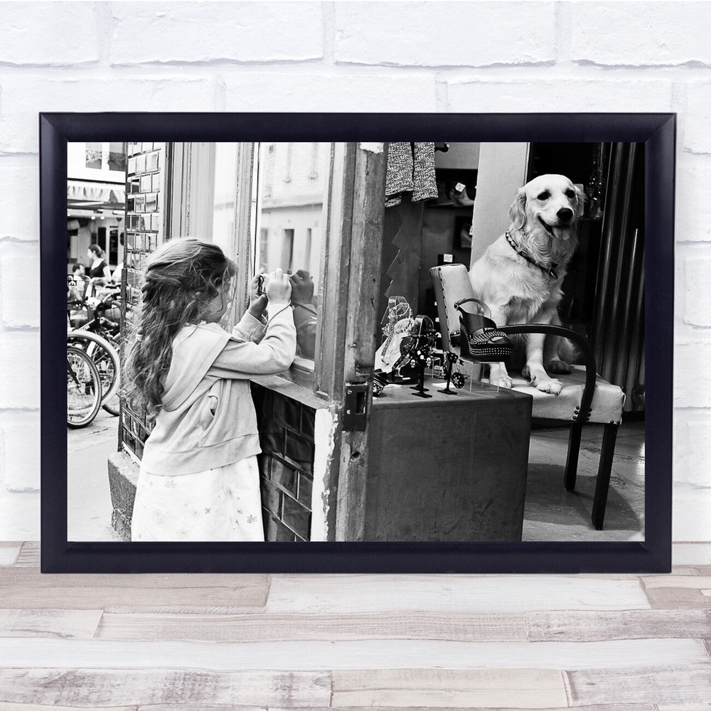 Street Black & White Black White Captive Animal Dog Girl Chair Sitting Print