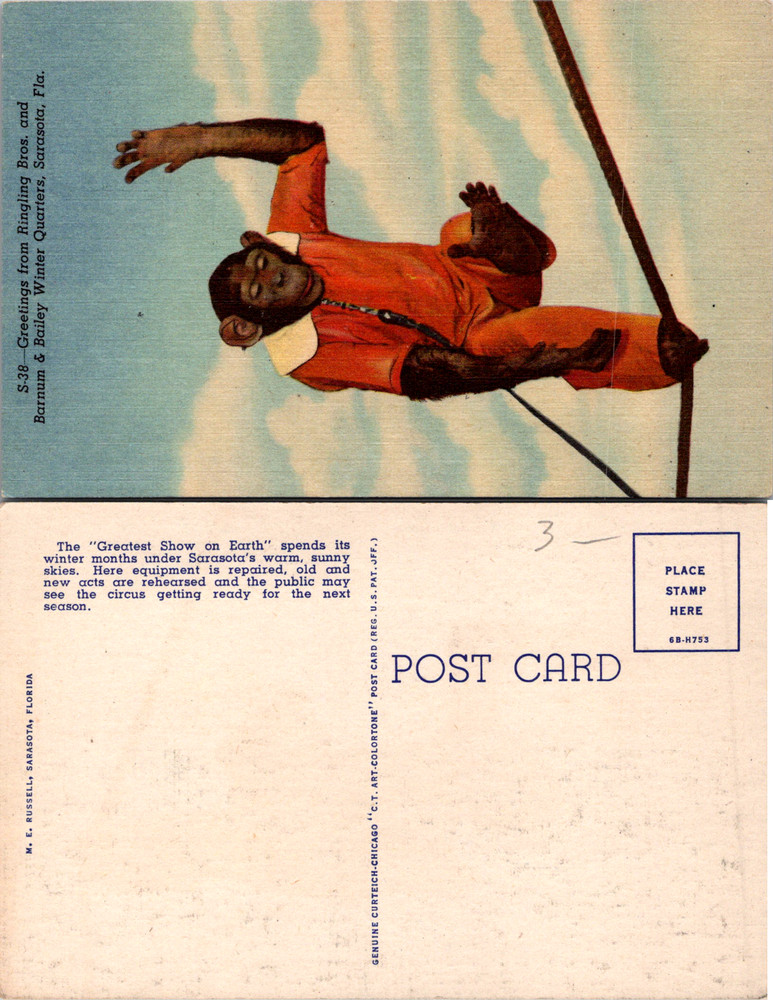 Vintage Postcard