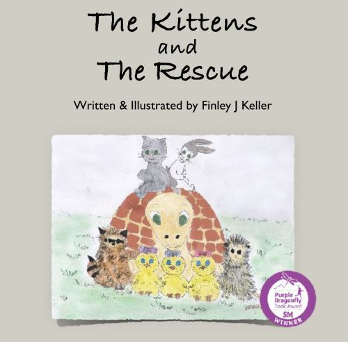 The Kittens and The Rescue, Like New Used, Free shipping in the US