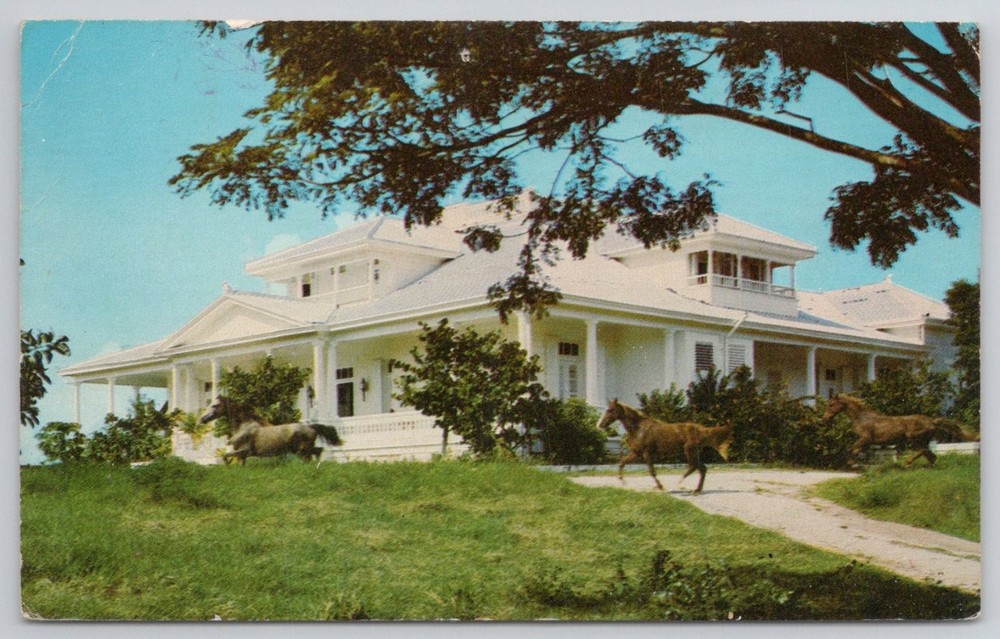 Vintage SPORTSMAN'S HOUSE Vieques Puerto Rico Postcard Horses Great House
