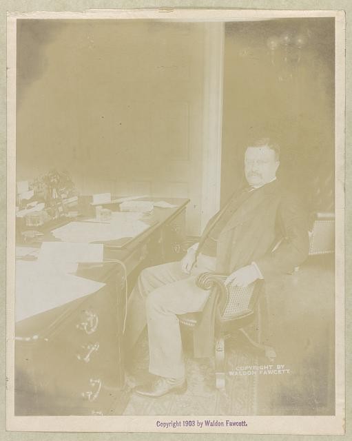 Theodore Roosevelt, full-length portrait, facing front, seated at his desk